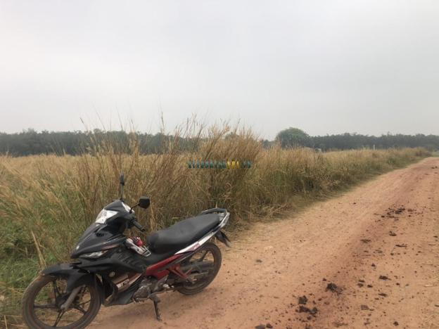 Bán đất diện tích 1217 m2 tại xã Thạnh Bình, Tân Biên.