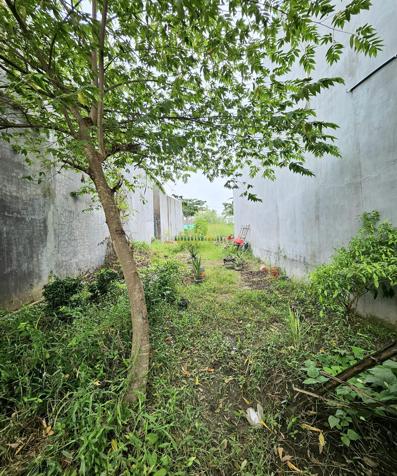 Bán đất tại khu TĐC Thuận An, Bình Minh, Vĩnh Long.