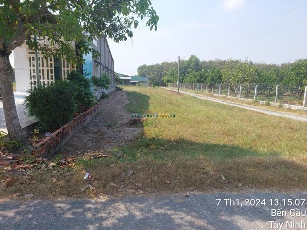 Bán đất 2 mặt tiền, diện tích 487 m2 tại xã Long Chữ, huyện Bến Cầu.