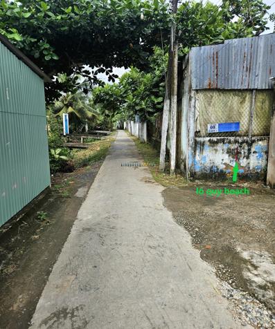 Bán đất gần đường Đinh Tiên Hoàng, khu vực Tân Hưng, Tân Hạnh, Vĩnh Long. Diện tích rộng rãi, vị trí thuận lợi, thích hợp cho việc xây dựng hoặc đầu tư.