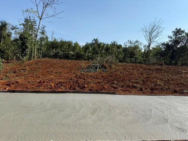 Bán đất 2007.9m² giá 1.2 tỷ tại Xã Ea D'Rơng, Huyện Cư M'gar.