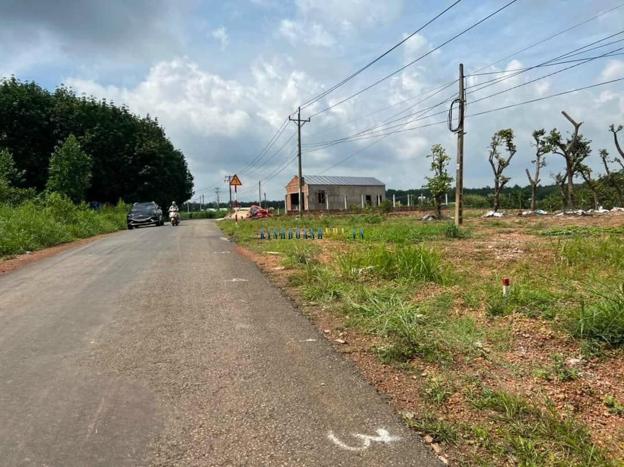 Bán đất 1001m2, giá 290 triệu, liên hệ O93.888.9O35. Đất nằm gần KCN, sổ hồng riêng, bao mọi phí sang tên.
