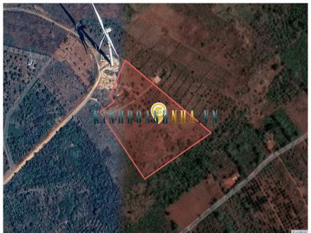 Bán đất 14.007,4m² giá 1,05 tỷ tại xã Dlê Yang, huyện Ea H'leo.