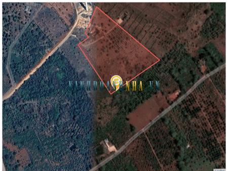 Bán đất 14.007,4m² giá 1,05 tỷ tại xã Dlê Yang, huyện Ea H'leo.