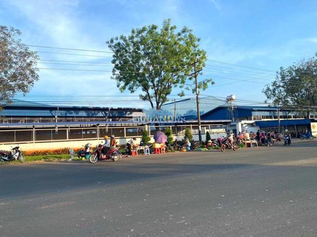 Cần bán đất chính chủ 570m2, trong đó có 300m2 thổ cư, giá chỉ 230 triệu.