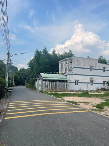 Bán đất Phú An, Bến Cát, đường nhựa 6m, diện tích 744m² (10x32m), giá 2 tỷ 650 triệu.