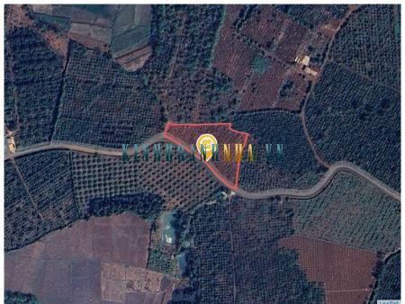 Bán đất 3617.1m² giá 599 triệu tại Xã Ia Bă, Huyện Ia Grai.