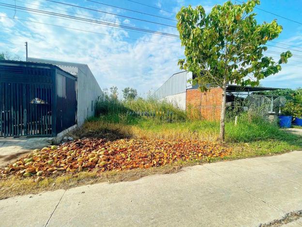 Bán đất 300.2m² giá 3.1 tỷ tại Xã Phước Vĩnh Tây, Huyện Cần Giuộc.