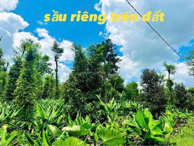 Bán đất 638m², giá 159 triệu tại Xã Phú Xuân, Huyện Krông Năng.