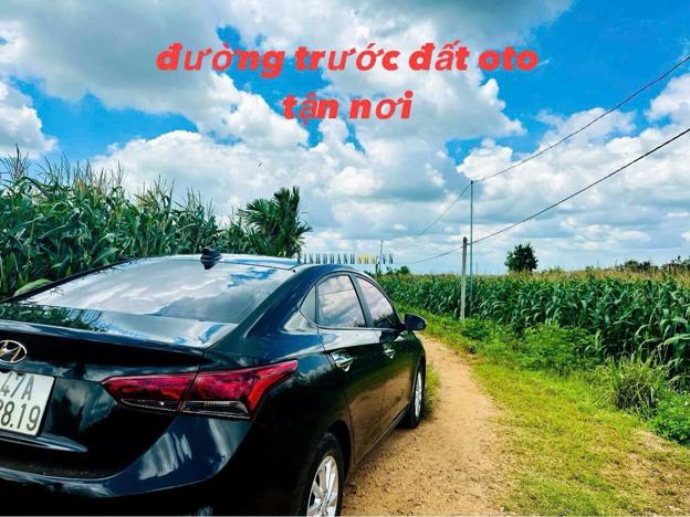 Bán đất 638m², giá 159 triệu tại Xã Phú Xuân, Huyện Krông Năng.