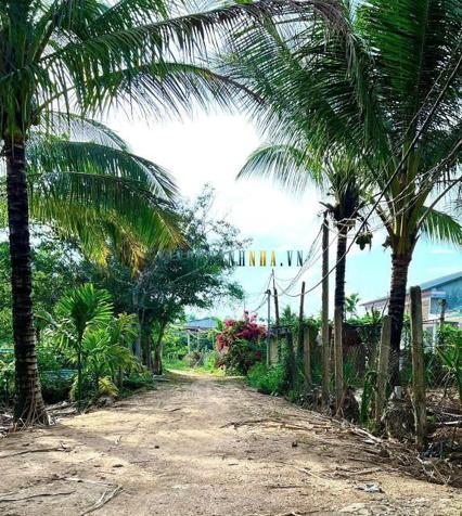 Bán đất 200m² giá 179 triệu tại Xã Ea Hu, Huyện Cư Kuin.