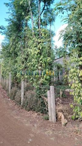 Bán đất 3100m² mặt tiền 2 mặt đường, giá 2.3 tỷ tại Xã Ea Kao, Thành phố Buôn Ma Thuột.