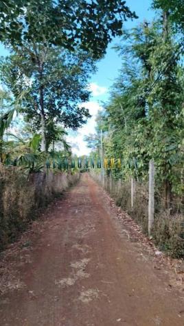 Bán đất 3100m² mặt tiền 2 mặt đường, giá 2.3 tỷ tại Xã Ea Kao, Thành phố Buôn Ma Thuột.