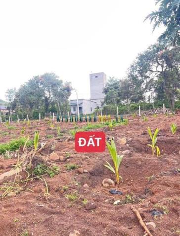 Bán đất 5000m² giá 1.55 tỷ tại Xã Dray Sáp, Huyện Krông A Na.