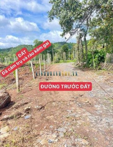 Bán đất 5000m² giá 1.55 tỷ tại Xã Dray Sáp, Huyện Krông A Na.