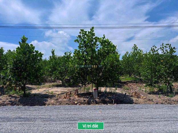 Bán đất 150m² giá 289 triệu tại Xã Suối Đá, Huyện Dương Minh Châu.