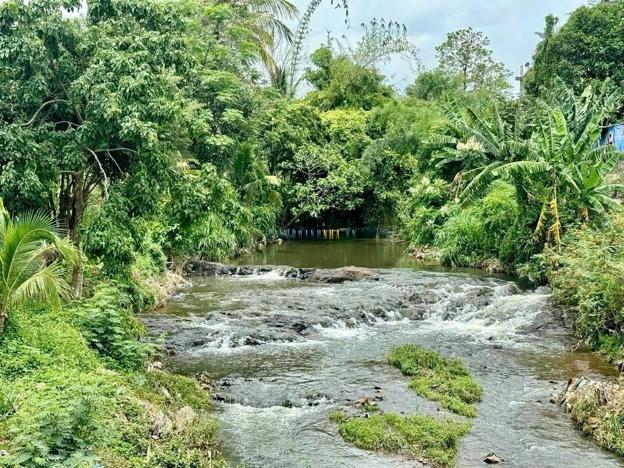 Bán đất 483m², giá 1.3 tỷ tại Xã Ea Nuôl, Huyện Buôn Đôn.