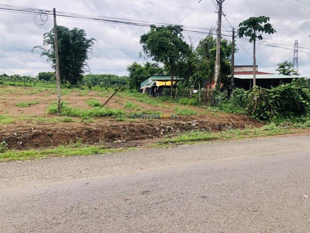 Bán đất 300m² giá 290 triệu tại Xã Thanh Lương, Thị xã Bình Long.