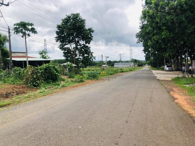 Bán đất 300m² giá 290 triệu tại Xã Thanh Lương, Thị xã Bình Long.