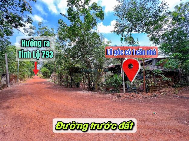 Bán đất 150m² giá 450 triệu tại Xã Tân Hội, Huyện Tân Châu.