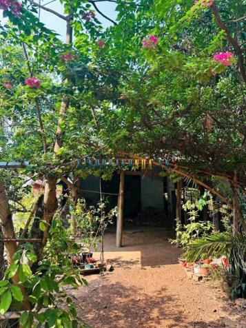 Bán đất 150m² giá 450 triệu tại Xã Tân Hội, Huyện Tân Châu.