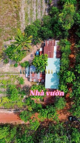 Bán đất 150m² giá 450 triệu tại Xã Tân Hội, Huyện Tân Châu.