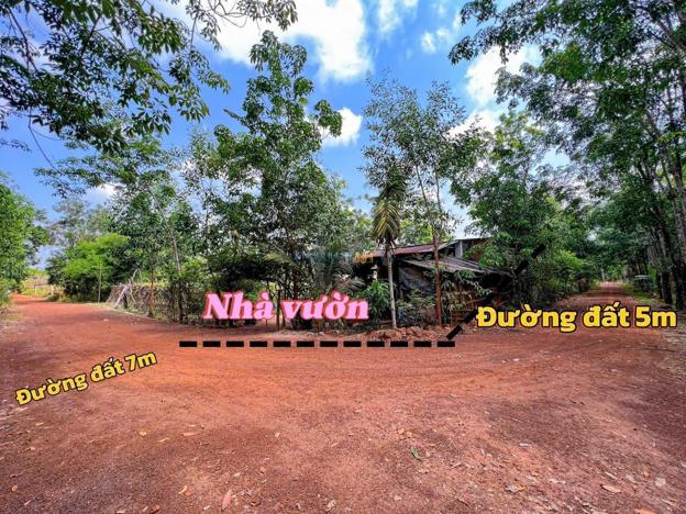 Bán đất 150m² giá 450 triệu tại Xã Tân Hội, Huyện Tân Châu.