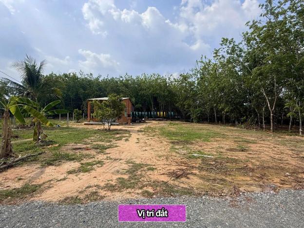 Bán đất thổ cư 180m² giá 379 triệu tại Xã Cẩm Giang, Huyện Gò Dầu - Tây Ninh.
