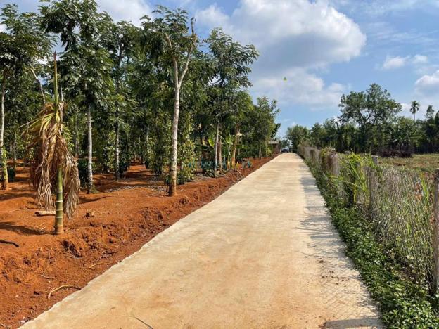 Bán đất 302.5m² giá 699 triệu tại Xã Ea Na, Huyện Krông Ana.