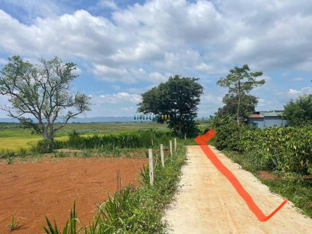 Bán đất 302.5m² giá 699 triệu tại Xã Ea Na, Huyện Krông Ana.