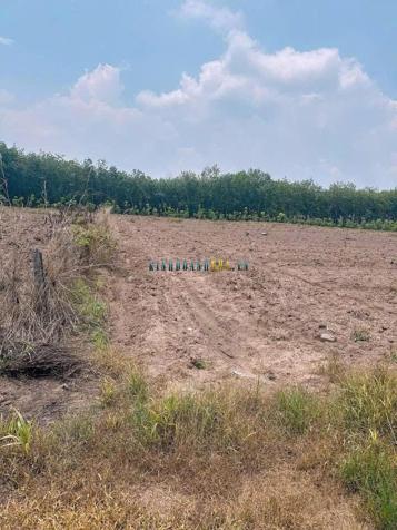 Bán lô đất 300m² giá 460 triệu tại Xã An Thái, Huyện Phú Giáo.