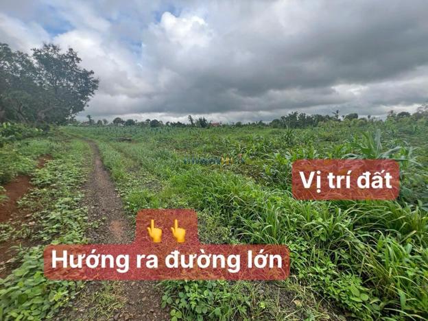 Bán đất 548.8m² giá 159 triệu tại Xã Ea Kuêh, Huyện Cư M'gar.