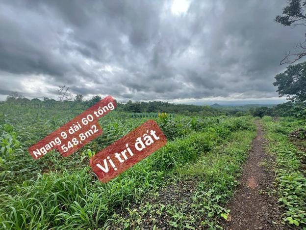 Bán đất 548.8m² giá 159 triệu tại Xã Ea Kuêh, Huyện Cư M'gar.