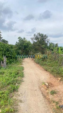 Bán đất 11.000m² giá 1.05 tỷ tại Xã Ea Sol, Huyện Ea H'leo.
