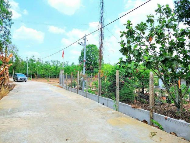 Bán đất 220m² giá 280 triệu tại Xã Thanh Lương, Thị xã Bình Long.