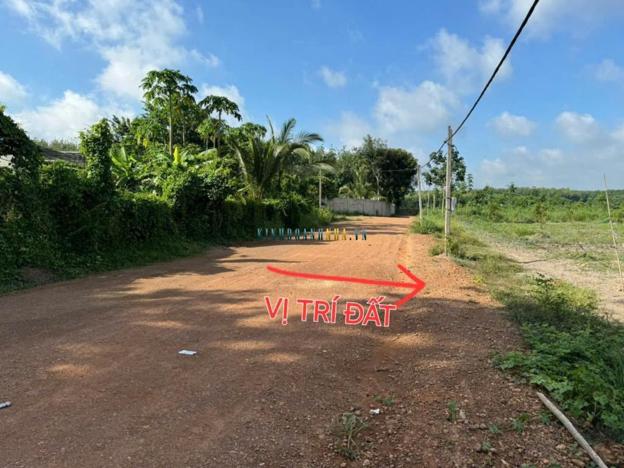 Cần bán gấp 2100m2 đất, sổ hồng đầy đủ, giá chỉ 380 triệu.