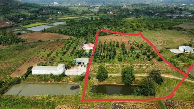 Bán đất thổ cư 8194m² giá 950 triệu tại Xã Xuân Phú, Huyện Ea Kar.